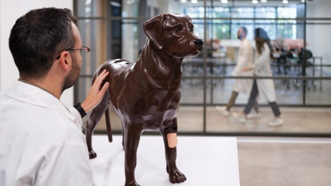 υποβολή-αιτήσεων-εισαγωγής-στην-κτην-563104081