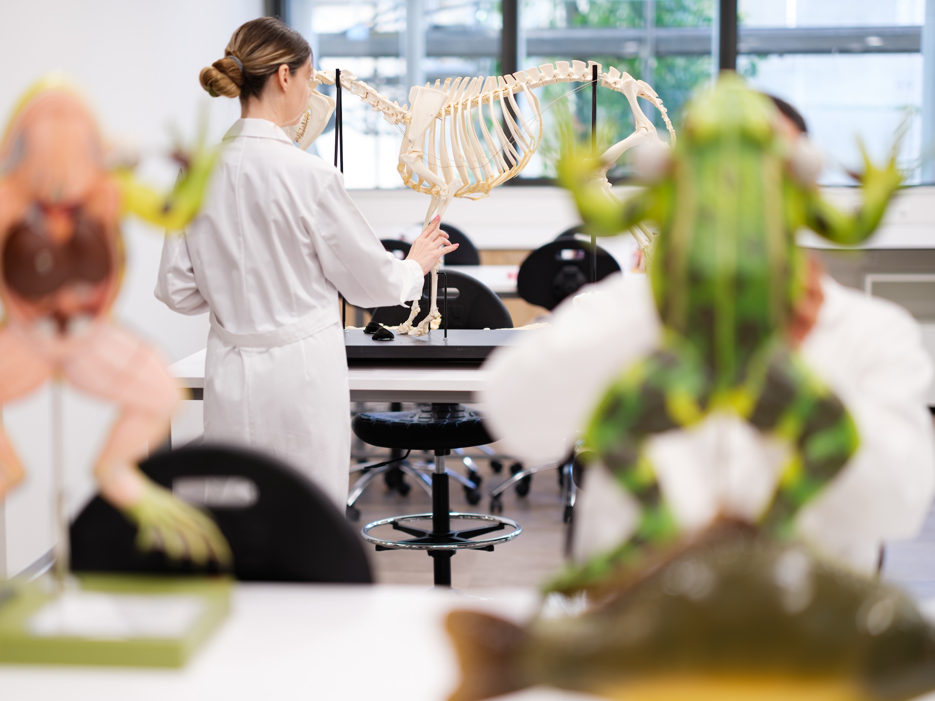 Υποβολή αιτήσεων εισαγωγής στην Κτηνιατρική Σχολή του Ευρωπαϊκού Πανεπιστημίου Κύπρου-1