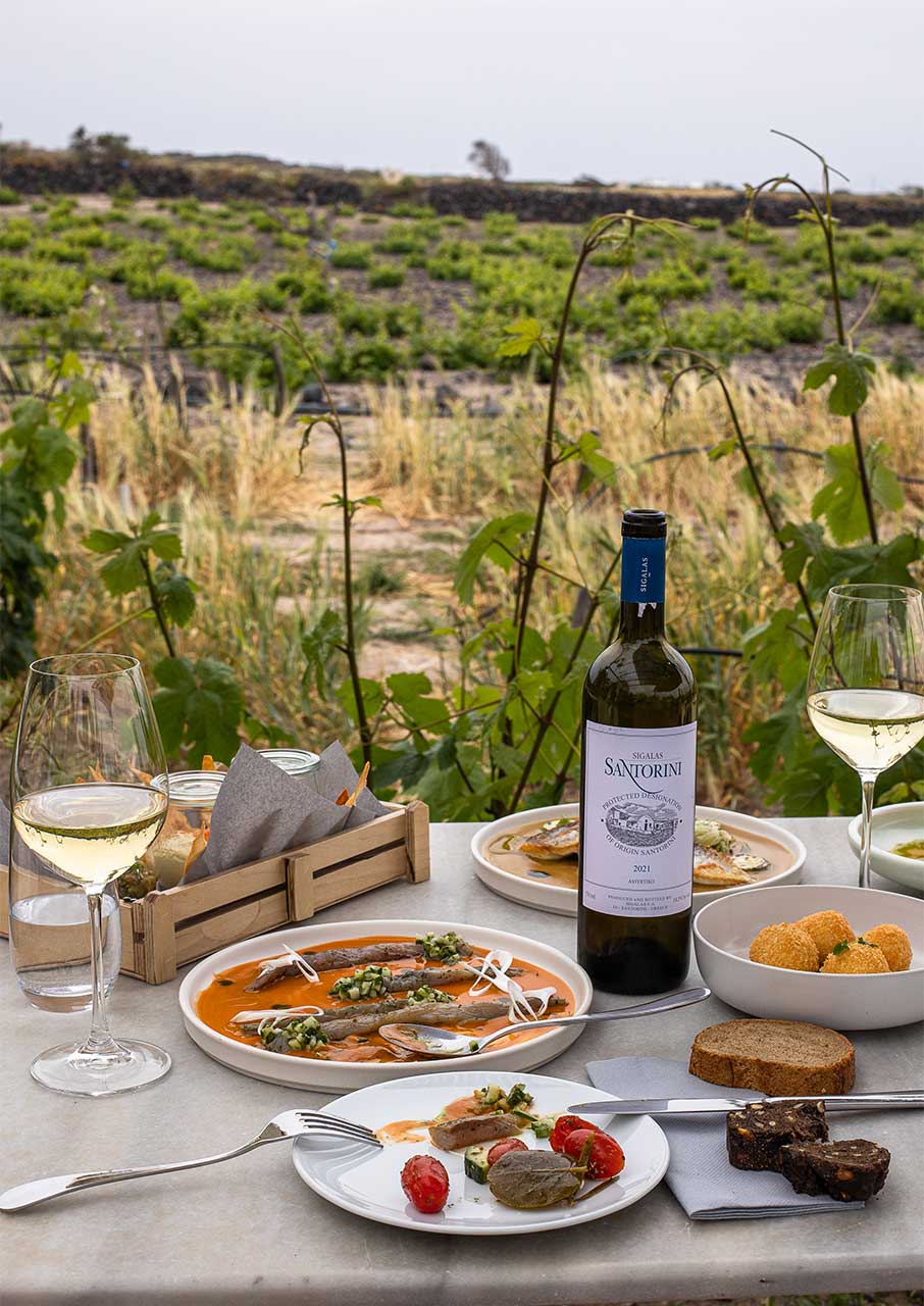 Κυκλάδες στο ποτήρι: 7 επισκέψιμα οινοποιεία του Αιγαίου-5