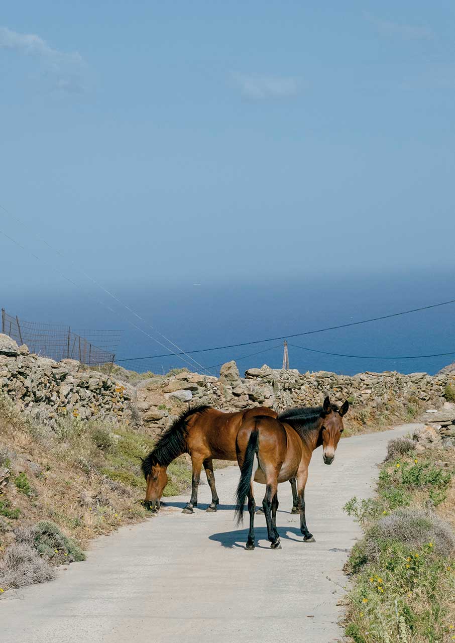 Διακοπές στη Σέριφο, στο νησί των εύθραυστων ισορροπιών-8