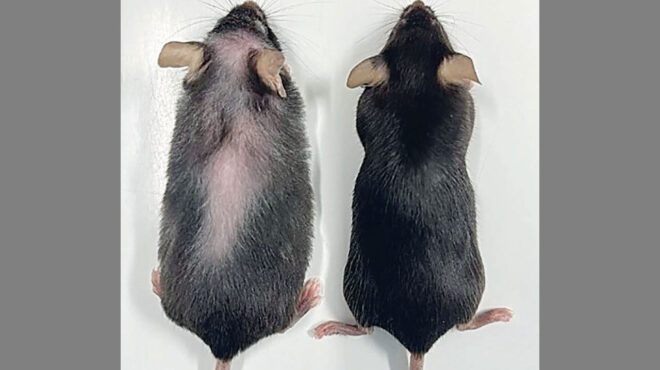 πέντε-απλές-συμβουλές-υγείας-για-όσου-563131972