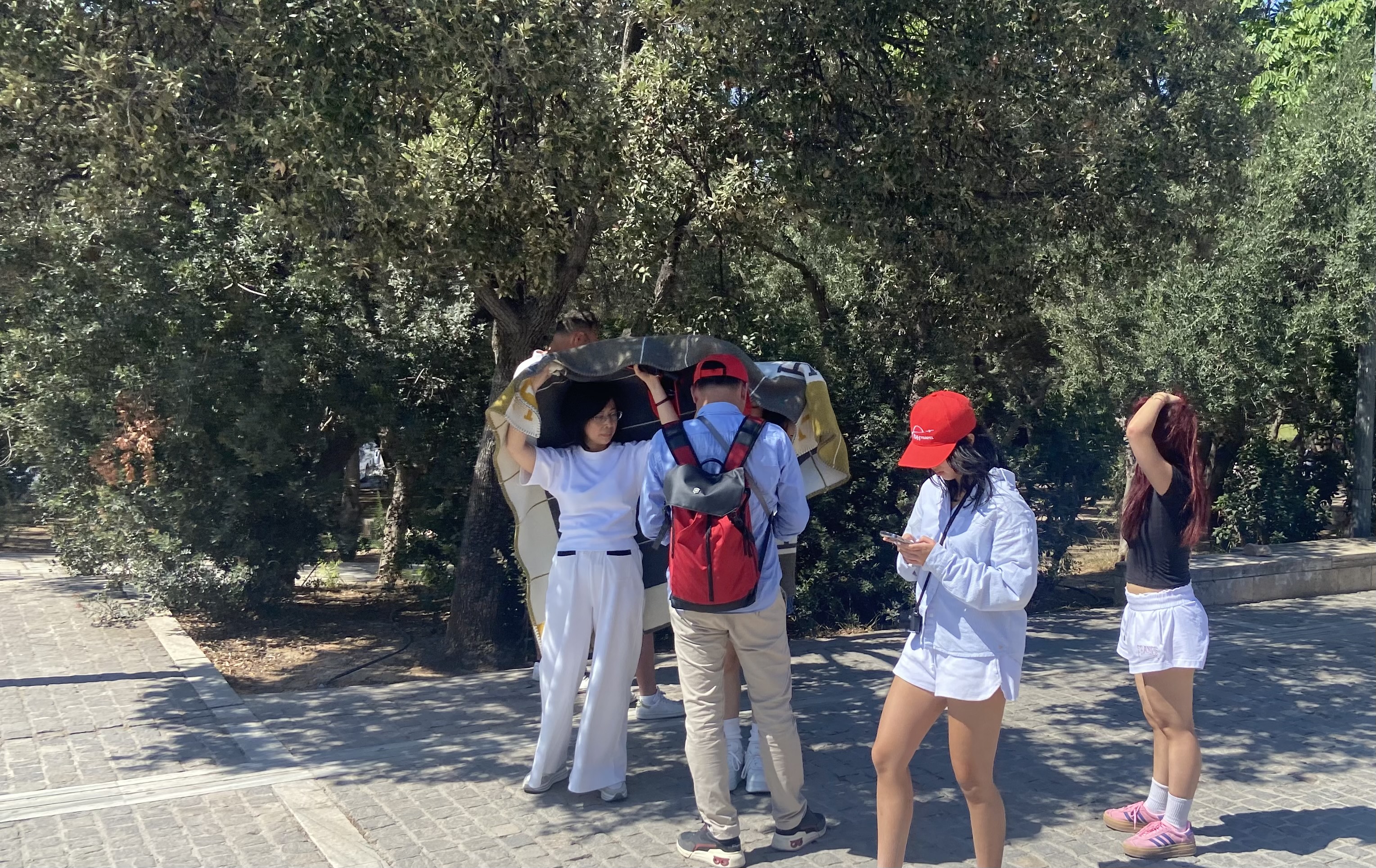 «Ηταν η μοναδική ευκαιρία να δω την Ακρόπολη, δεν θα με σταματούσε ο καύσωνας»-1