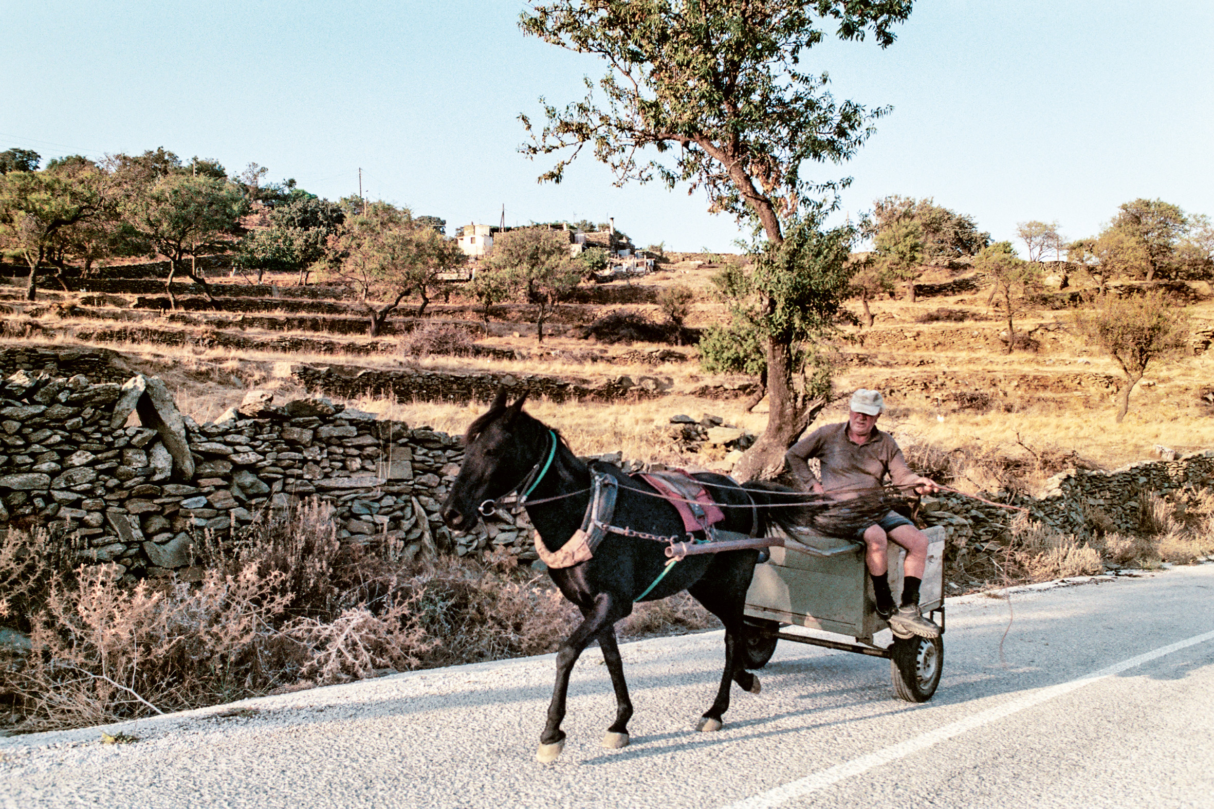 Ξύλα, λόζα και παγωτό ρυζόγαλο στην Τζια-2