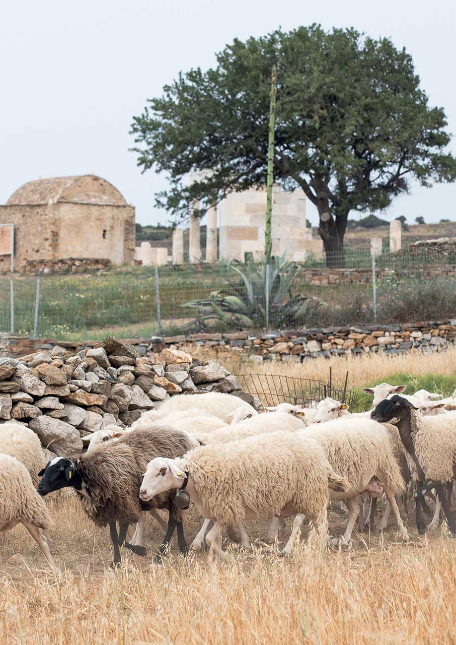 Νάξος: Το νησί με τα πολλά πρόσωπα και τα υπέροχα χωριά-18