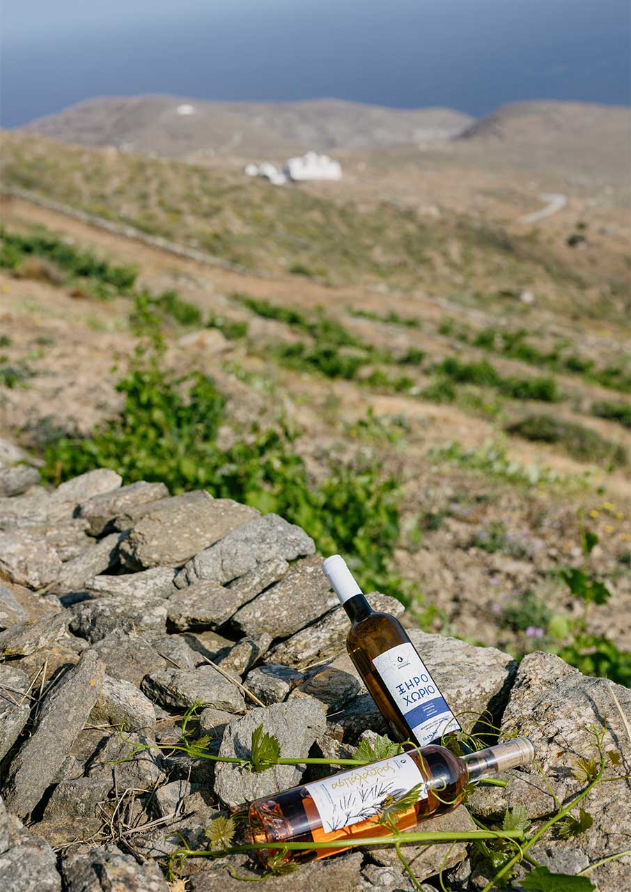 Κυκλάδες στο ποτήρι: 7 επισκέψιμα οινοποιεία του Αιγαίου-2