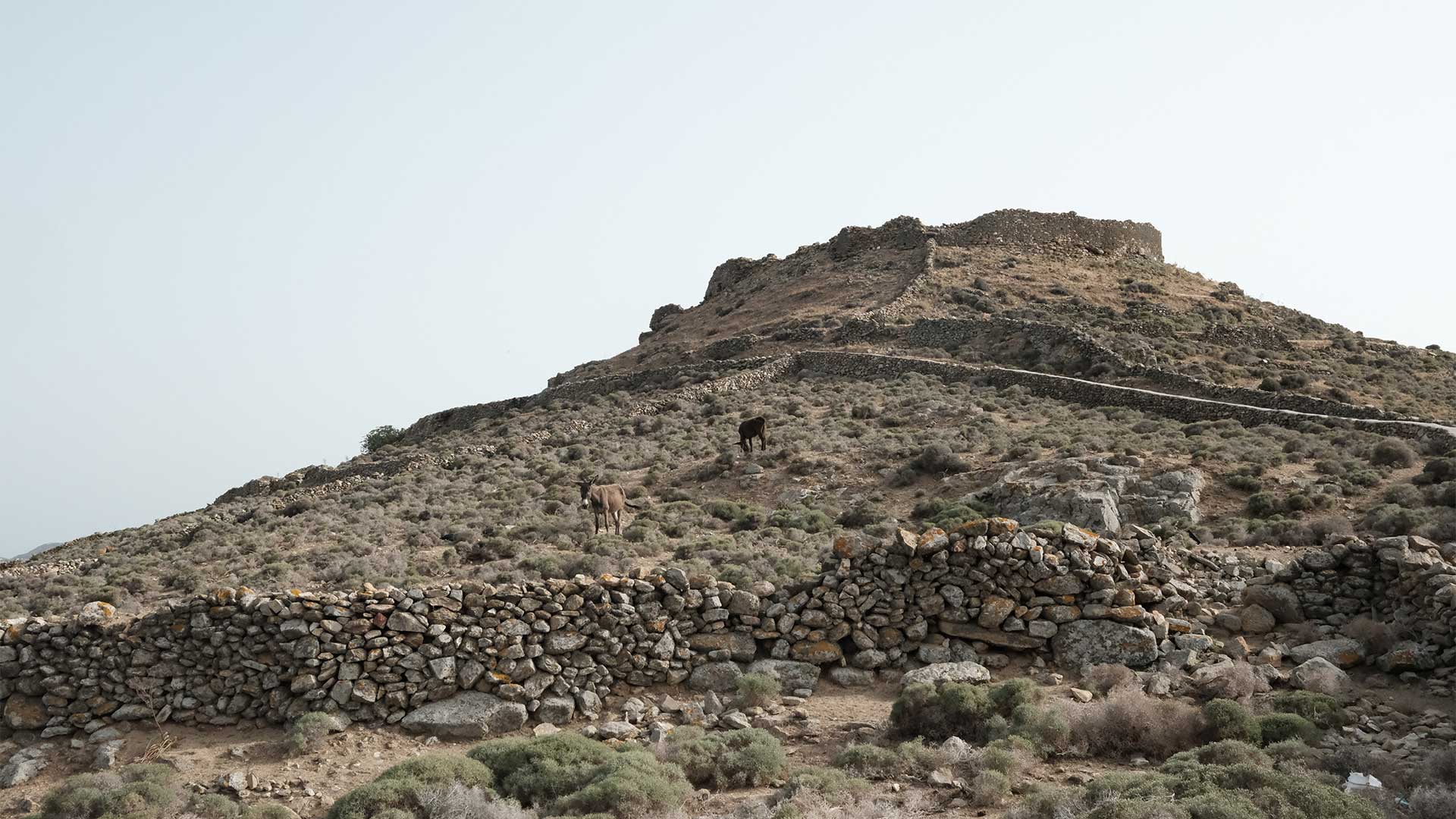 Κυκλάδες: Ανακαλύπτοντας την ταπεινή τέχνη της ξερολιθιάς-2