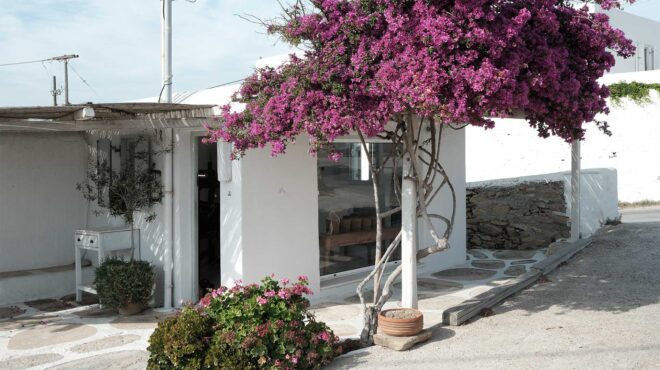 η-αυτοδίδακτη-υφάντρα-της-μυκόνου-που-563115706