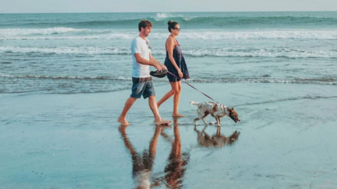 αυτή-είναι-η-καλύτερη-στιγμή-για-περπά-563119822