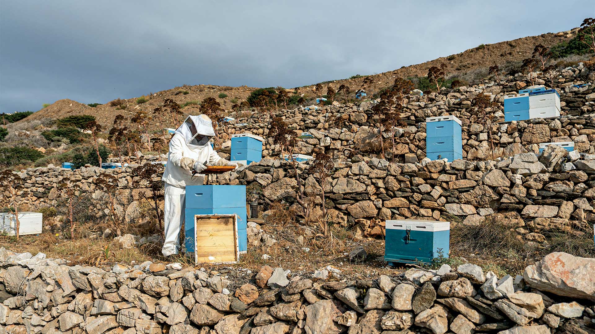 Σίκινος: Το τελευταίο προπύργιο των Κυκλάδων απέναντι στον μαζικό τουρισμό-5