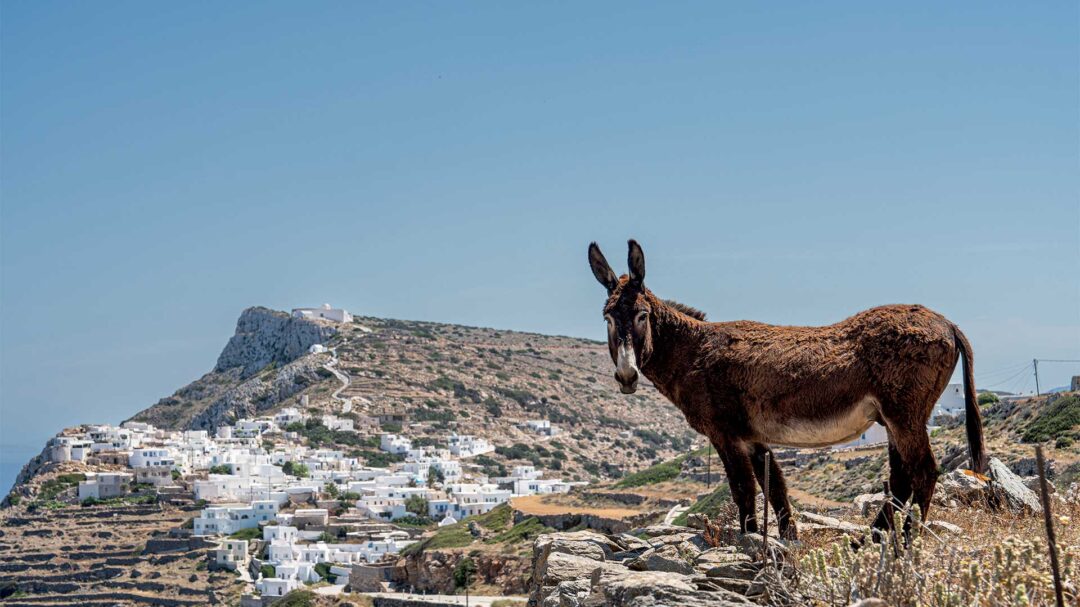 σίκινος-το-τελευταίο-προπύργιο-των-κυ-563139475