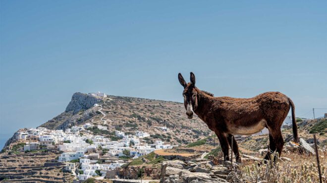 σίκινος-το-τελευταίο-προπύργιο-των-κυ-563139475