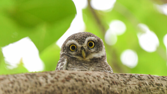 o-θάνατός-σου-η-ζωή-μου-για-μισό-εκατο-563118970