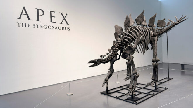 tιμή-ρεκόρ-άνω-των-44-εκατ-δολαρίων-για-σ-563132041