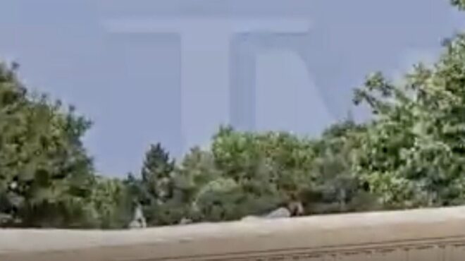 επίθεση-κατά-τραμπ-ο-ύποπτος-δράστης-ε-563126437