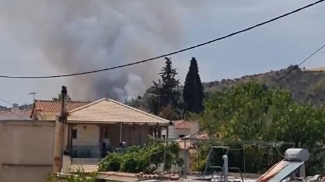 φωτιά-τώρα-ωρωπός-πυρκαγιά-σε-αγροτ-563137834