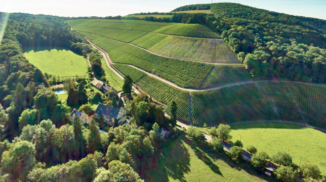 σπάνια-τερουάρ-αμπελώνες-στον-moζέλλα-563130781