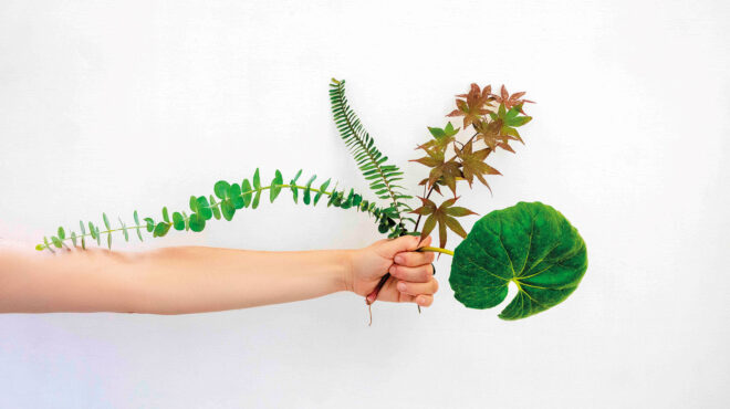 οι-θάμνοι-που-θα-κάνουν-τον-κήπο-σας-πιο-563132566