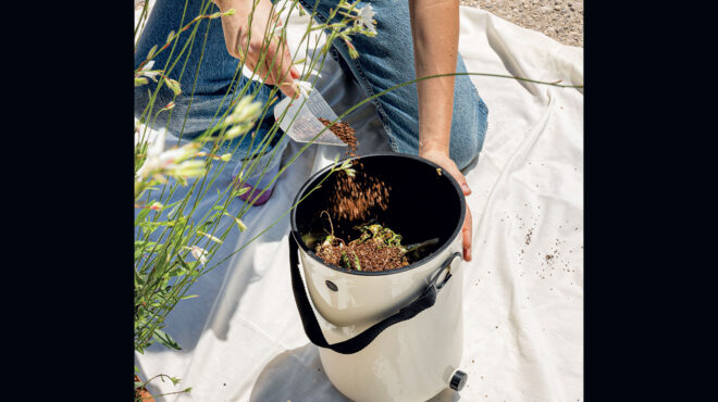 πώς-θα-κάνετε-τα-φυτά-σας-να-μεγαλώσουν-563109907