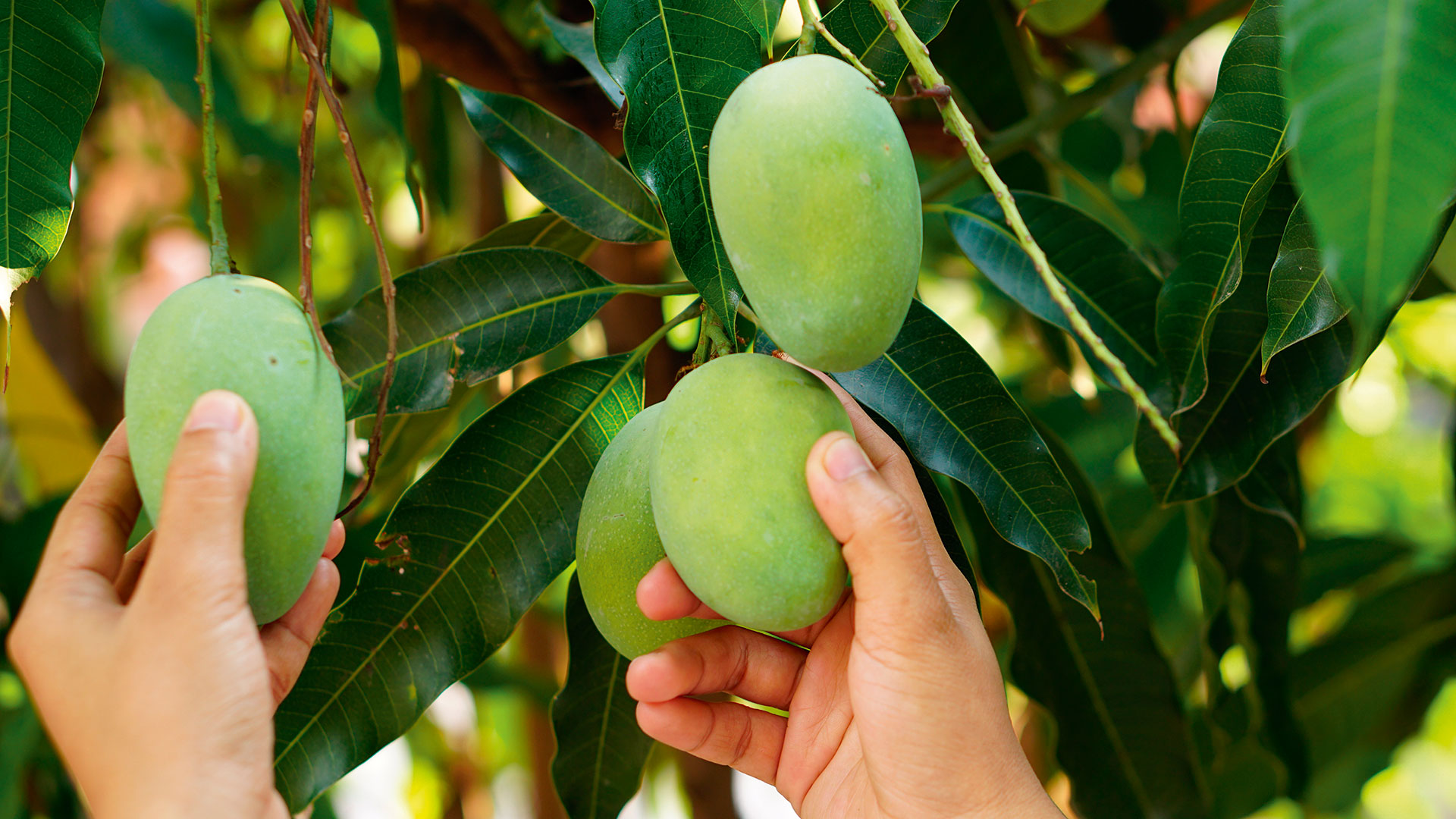 Διαβάστε στην «Καθημερινή της Κυριακής»-5