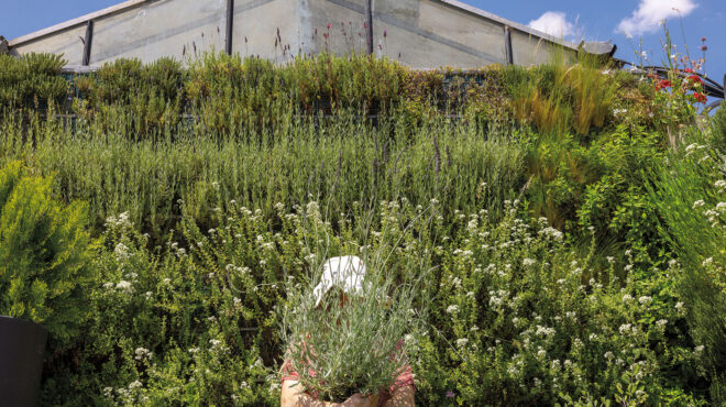 πώς-θα-φτιάξετε-μία-πράσινη-ασπίδα-ε-563143753