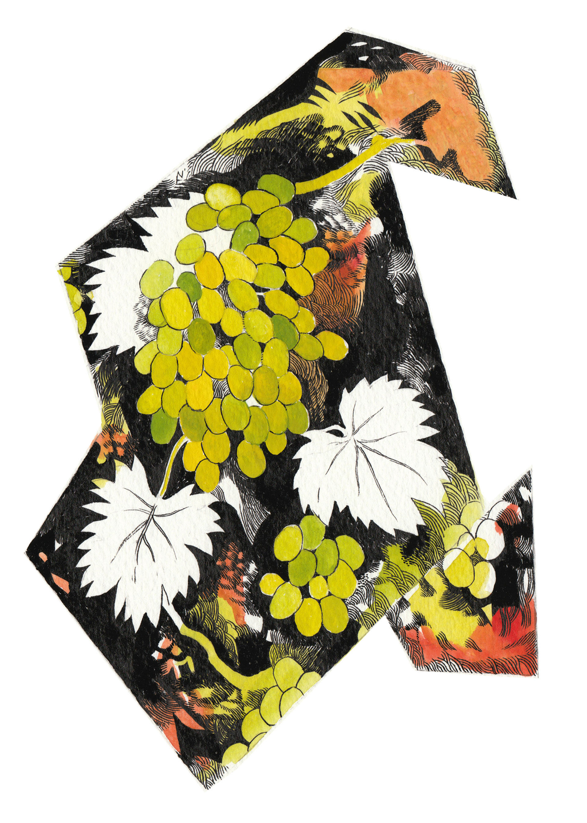 Κρητικός αμπελώνας: Ο μαρουβάς του Νίκου Ψιλάκη-2