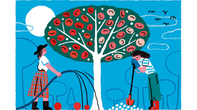 είναι-ανησυχητική-η-έλλειψη-σιδήρου-563139745