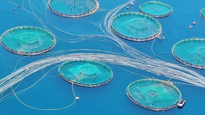 προς-την-επόμενη-φάση-η-διεκδίκηση-της-a-563107411