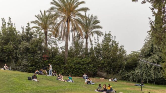 αστικά-ξέφωτα-από-τον-νίκο-βατόπουλο-563138956