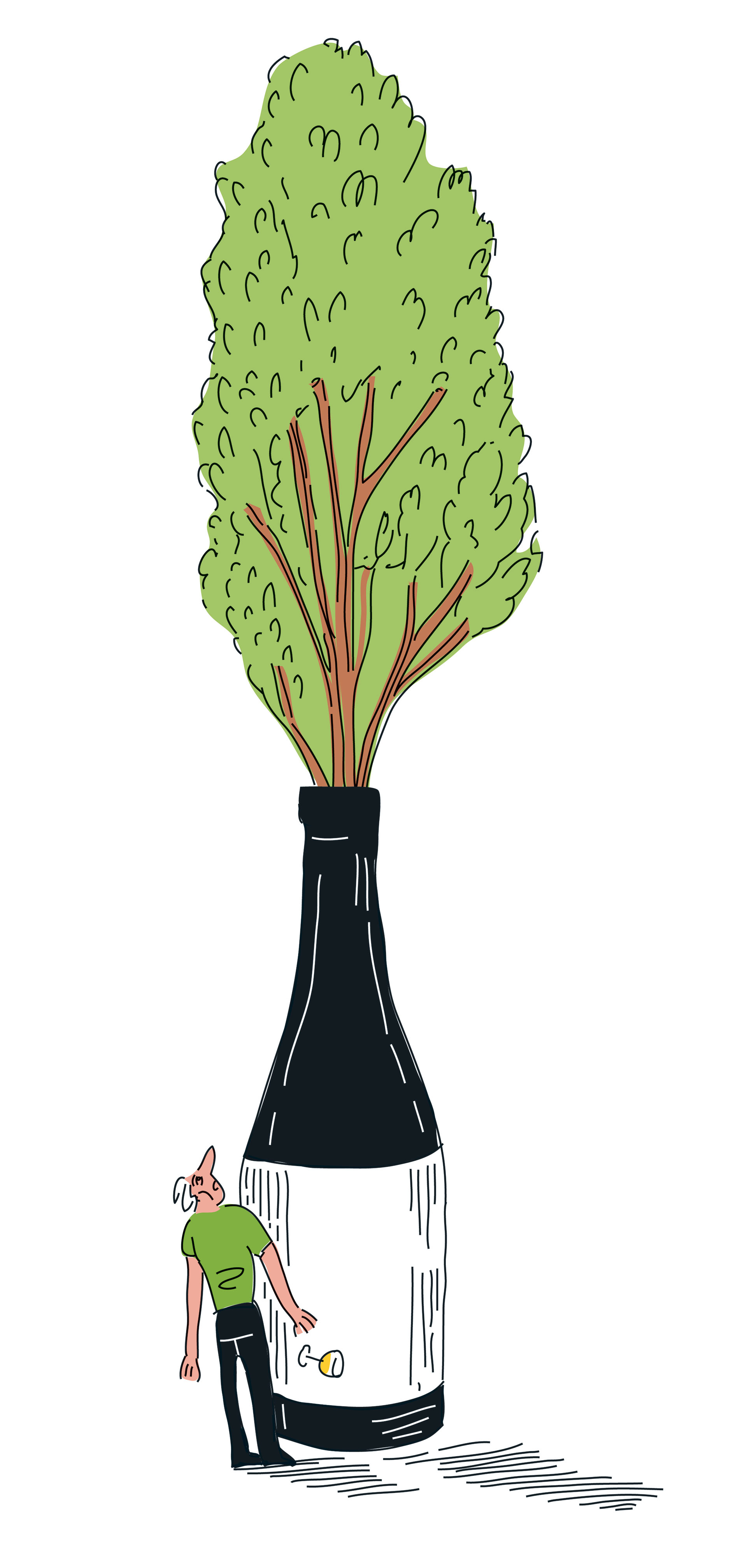 Ο δεκάλογος της «πράσινης» κατανάλωσης-3