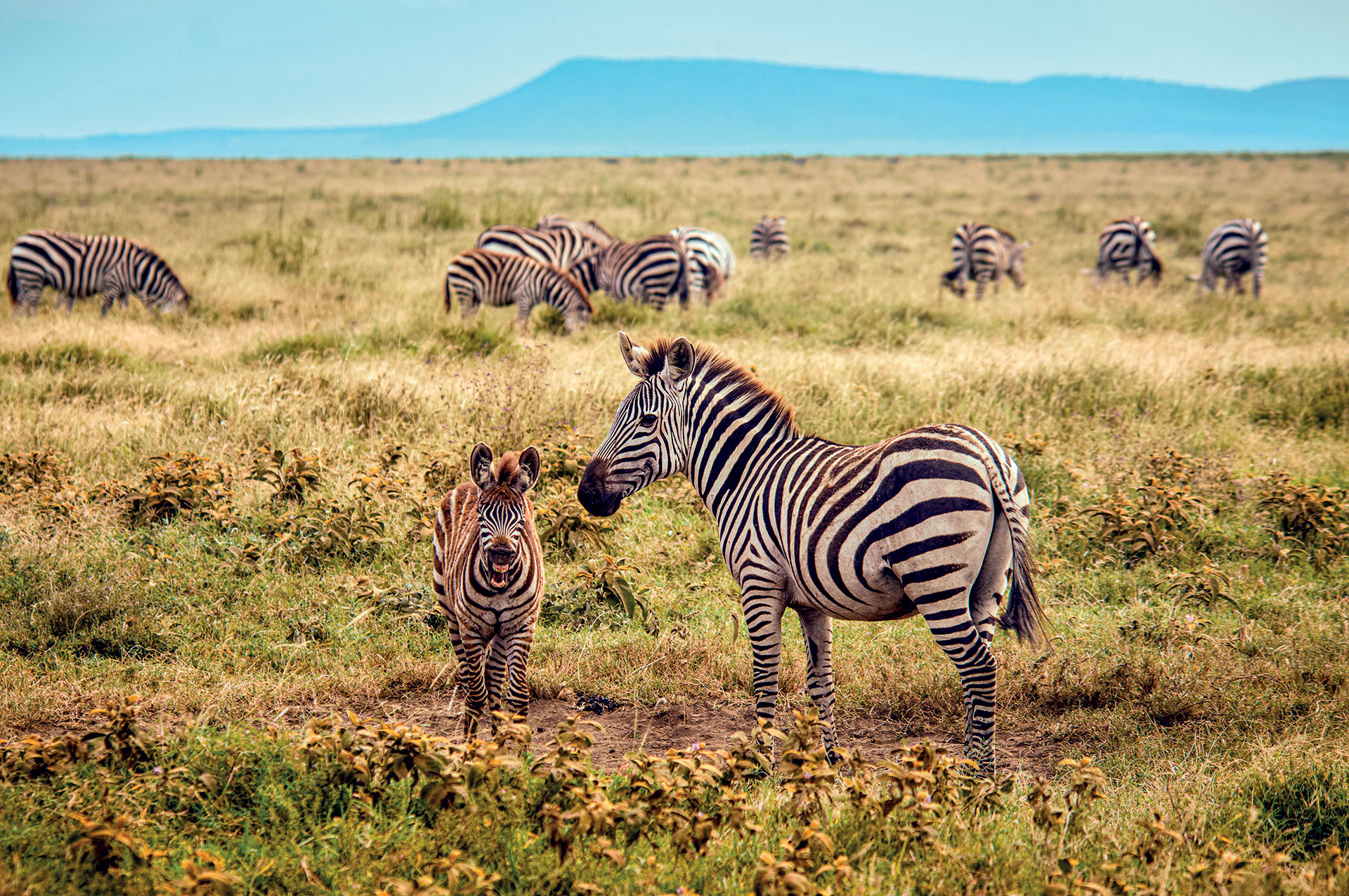 Οι non fiction εκδόσεις που ξεχωρίσαμε για τις φετινές διακοπές-3