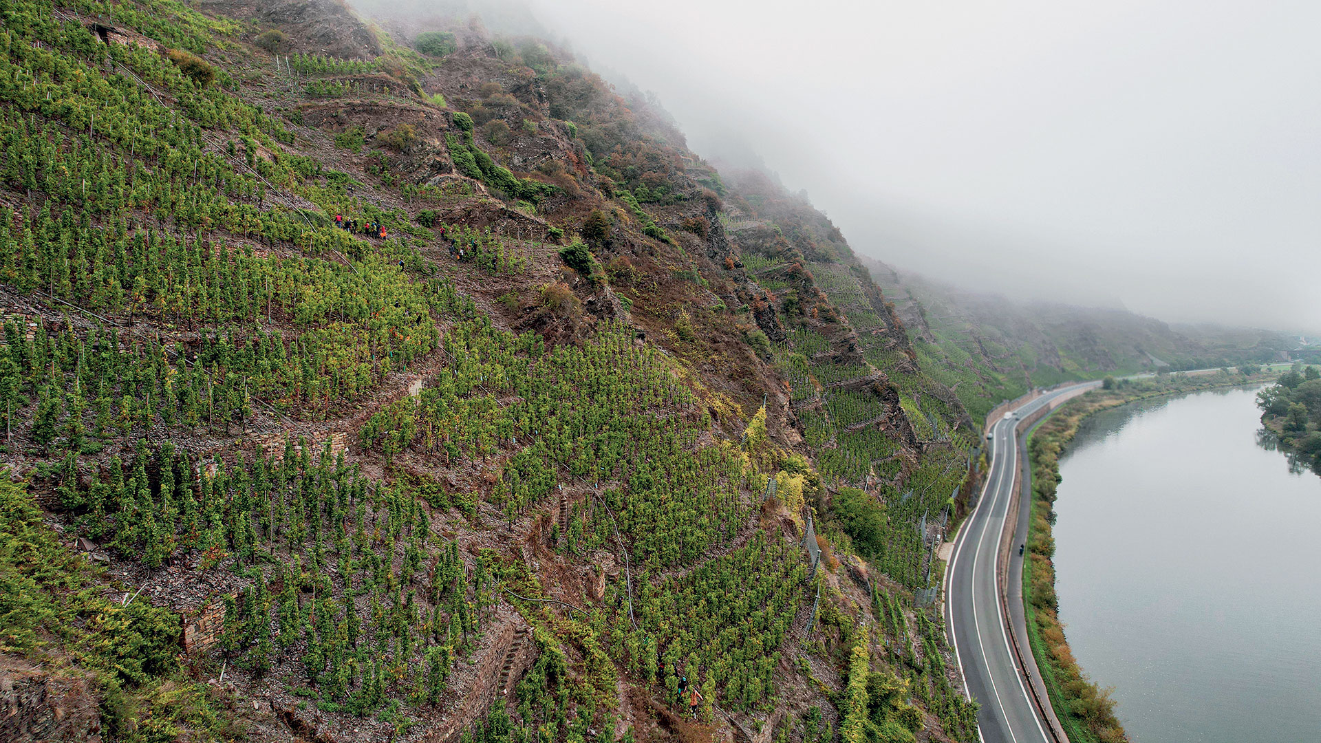 Dr. Loosen, ο κορυφαίος οινοποιός του Μοζέλλα-2