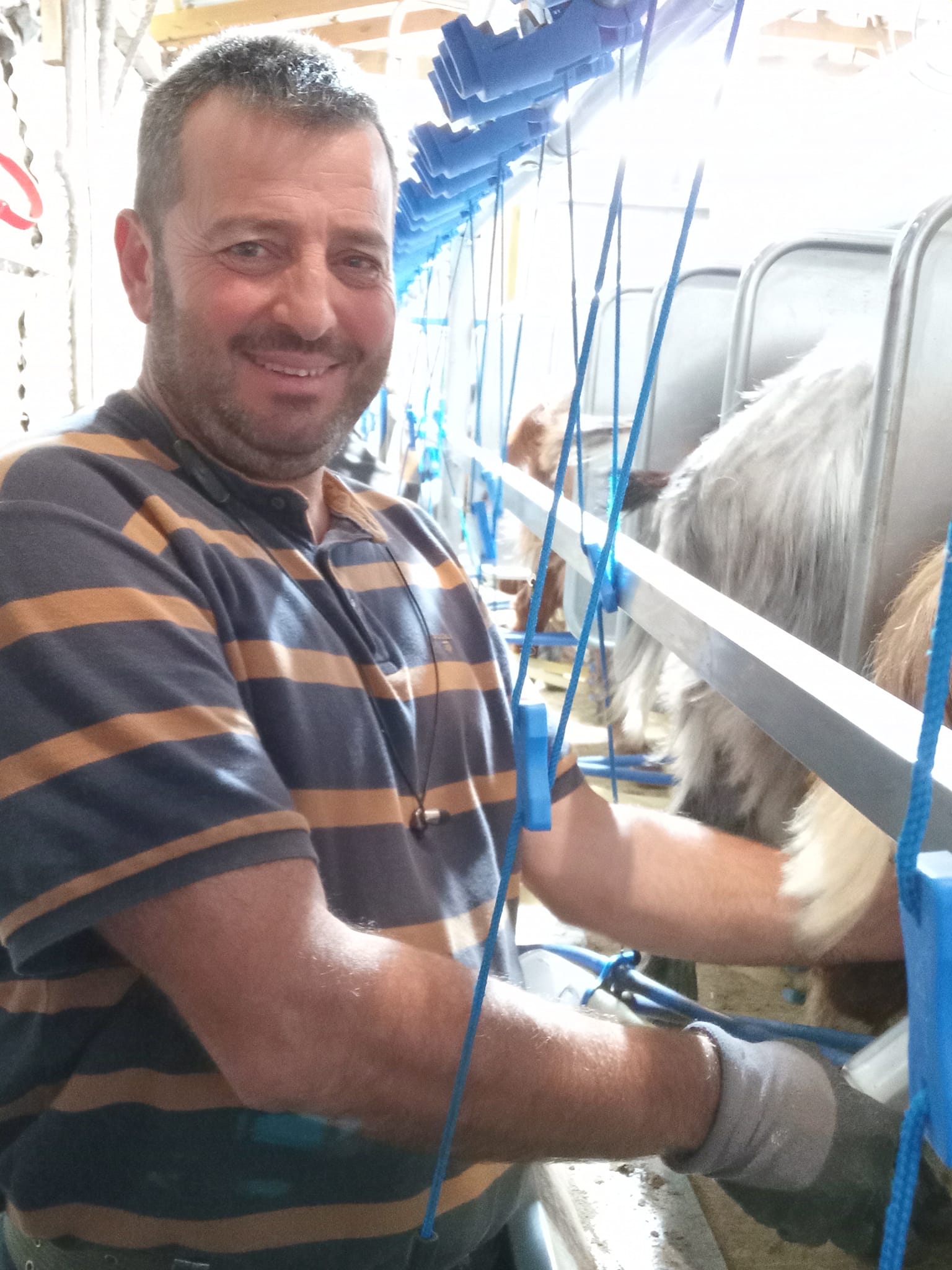 Πανώλη: Τα αναπάντητα ερωτήματα-2