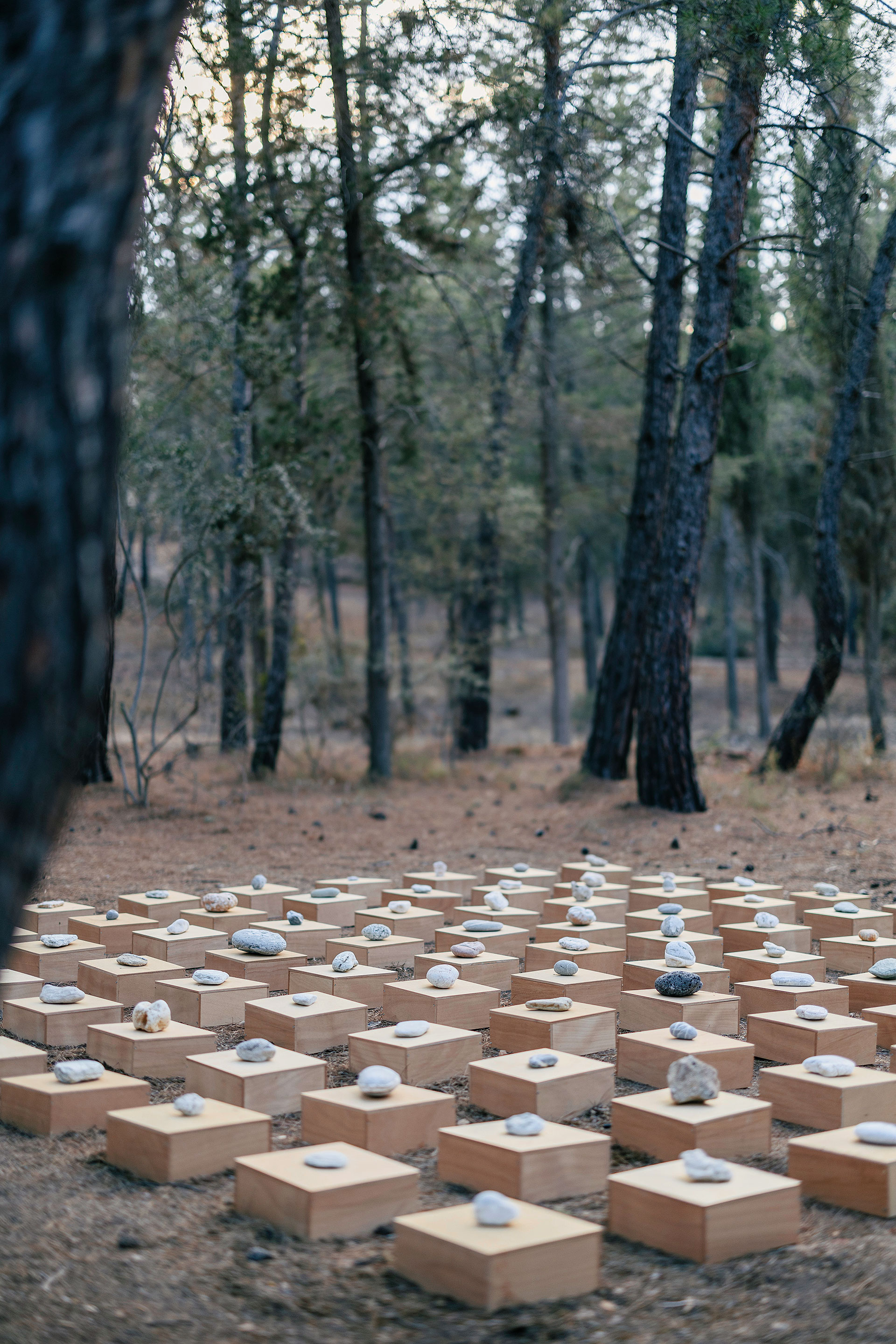 Μία βόλτα στον Κήπο Διομήδους, το μεγαλύτερο βοτανικό πάρκο της Ανατολικής Μεσογείου-2