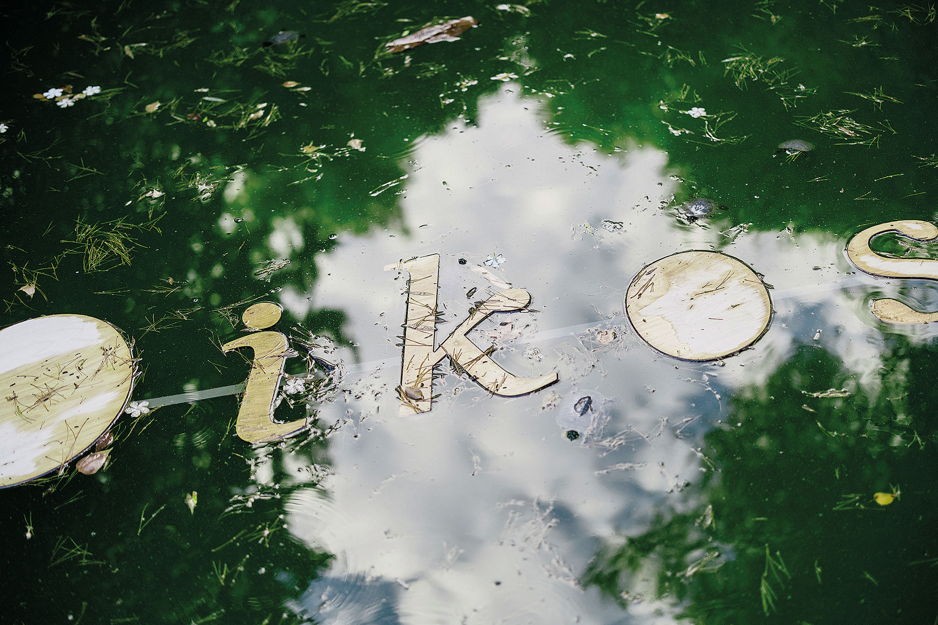 Μία βόλτα στον Κήπο Διομήδους, το μεγαλύτερο βοτανικό πάρκο της Ανατολικής Μεσογείου-3