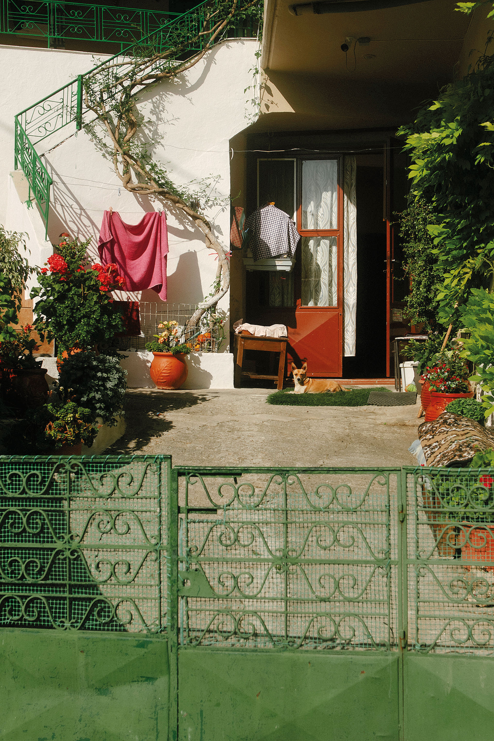 Μιχάλη Αλμπάτη, μιλάνε τα αγόρια με τους νεκρούς στην Κρήτη;-6