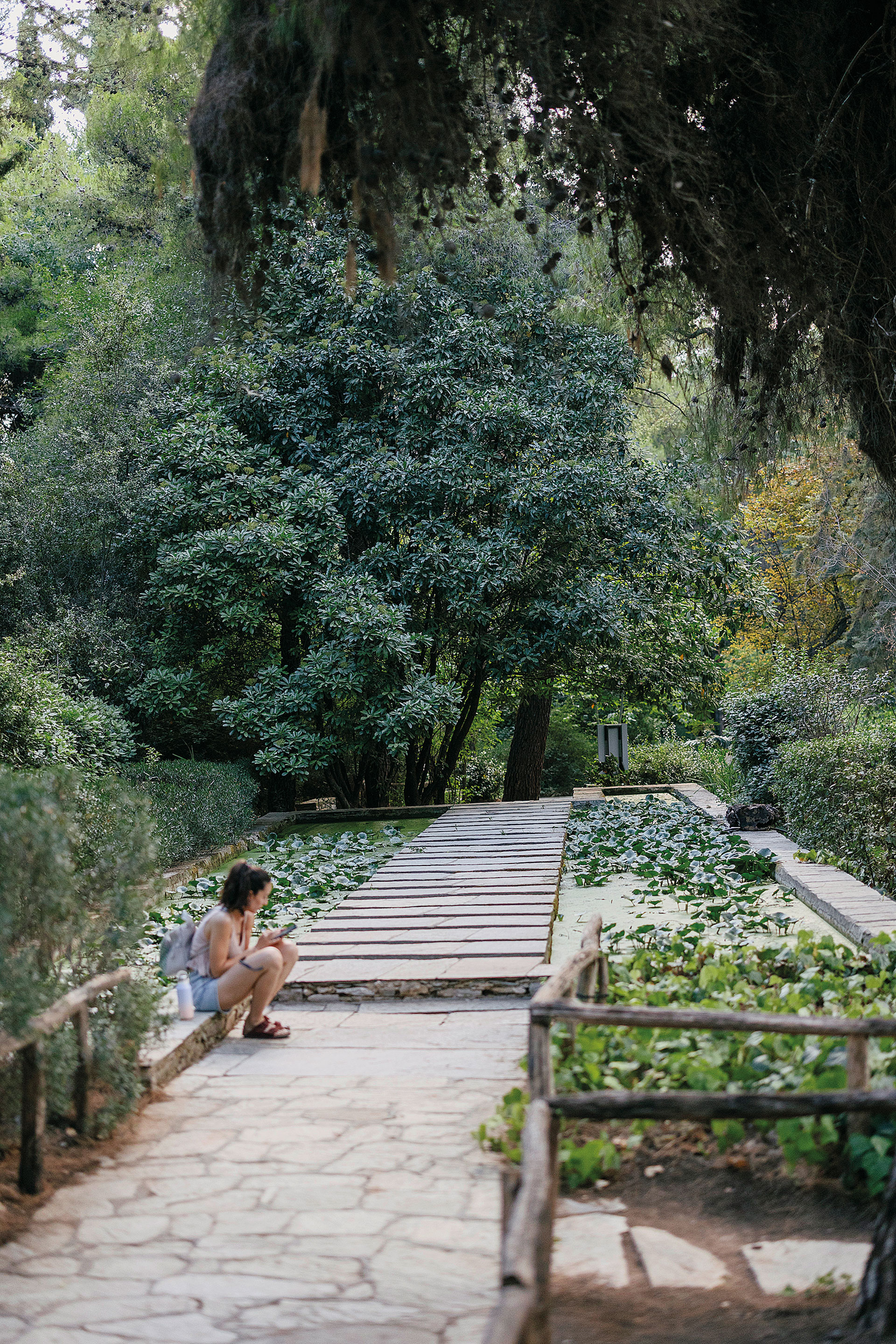 Μία βόλτα στον Κήπο Διομήδους, το μεγαλύτερο βοτανικό πάρκο της Ανατολικής Μεσογείου-4