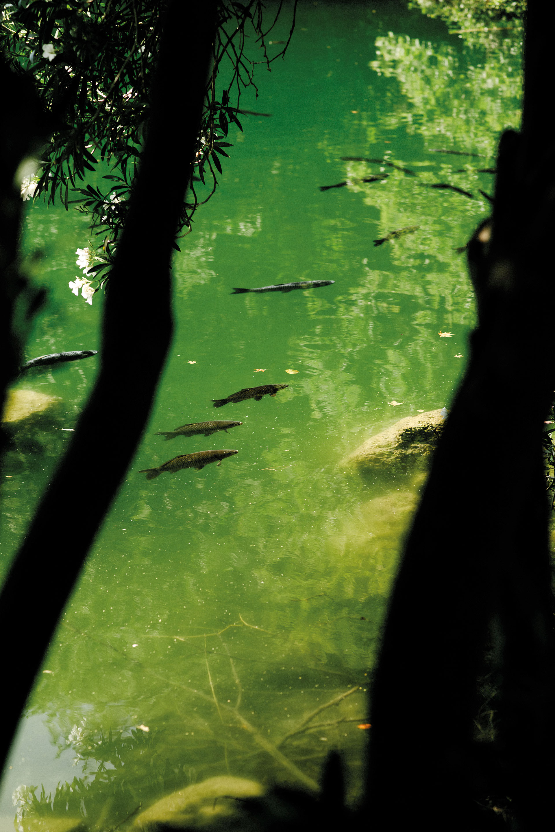 Μιχάλη Αλμπάτη, μιλάνε τα αγόρια με τους νεκρούς στην Κρήτη;-7