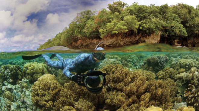 στοχασμός-για-τη-ζωή-στην-ανθρωπόκαιν-563145646