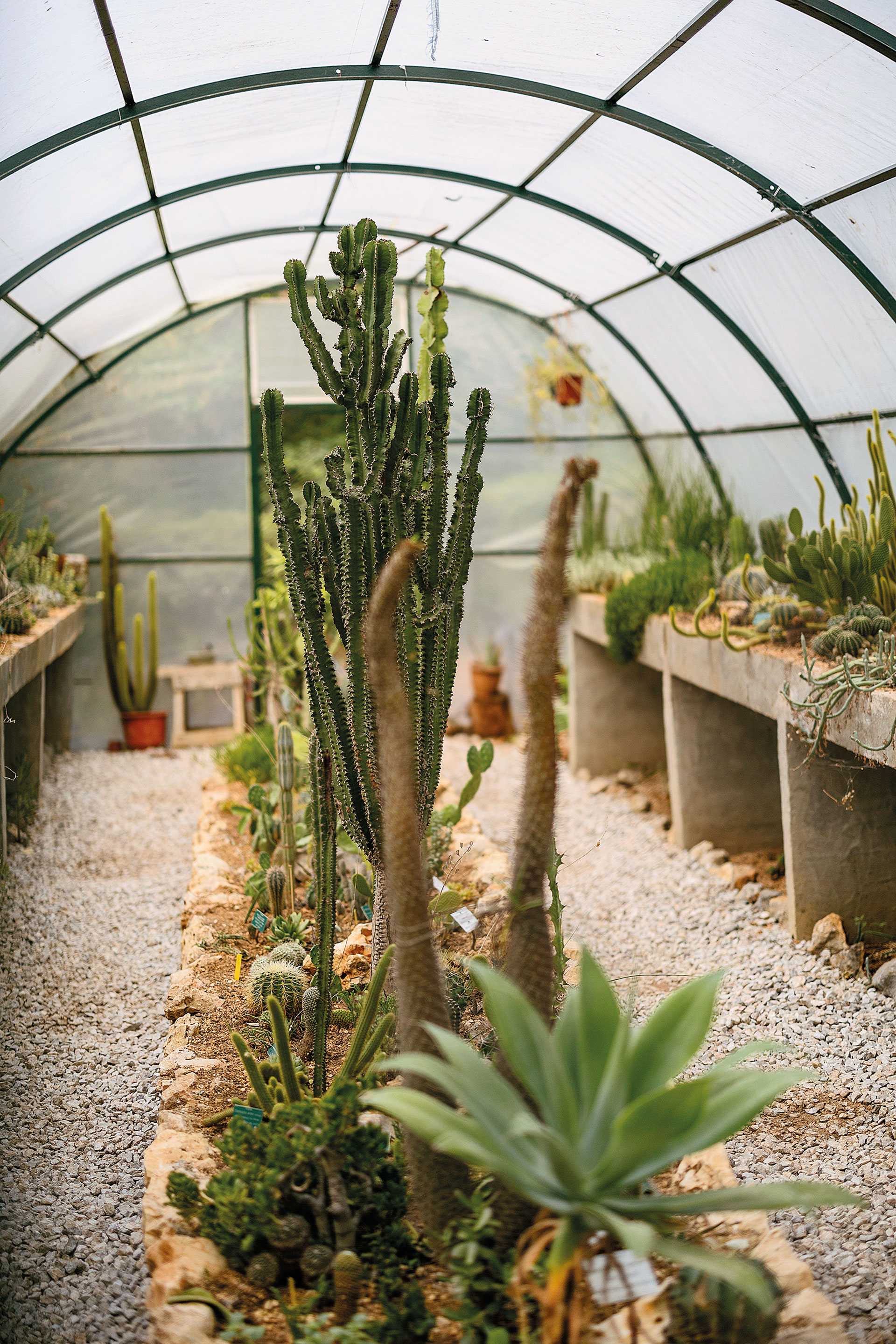 Μία βόλτα στον Κήπο Διομήδους, το μεγαλύτερο βοτανικό πάρκο της Ανατολικής Μεσογείου-6