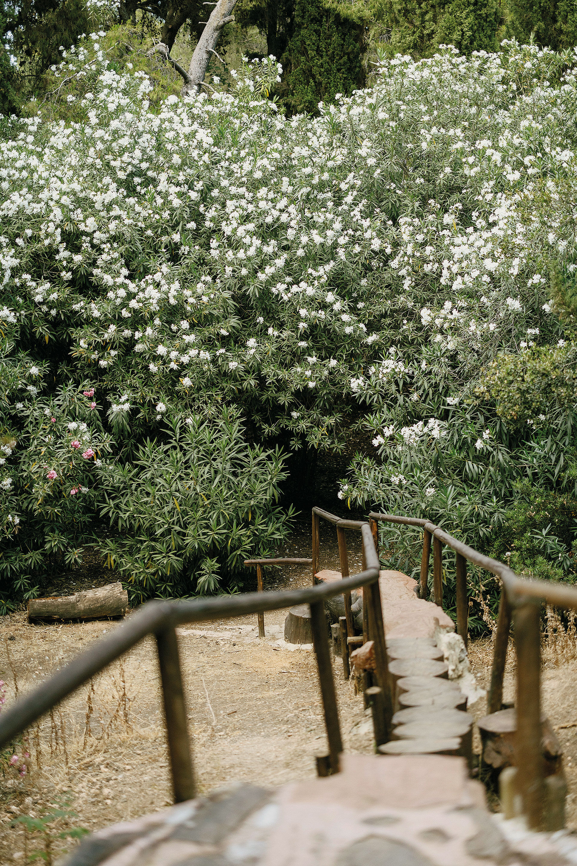 Μία βόλτα στον Κήπο Διομήδους, το μεγαλύτερο βοτανικό πάρκο της Ανατολικής Μεσογείου-7