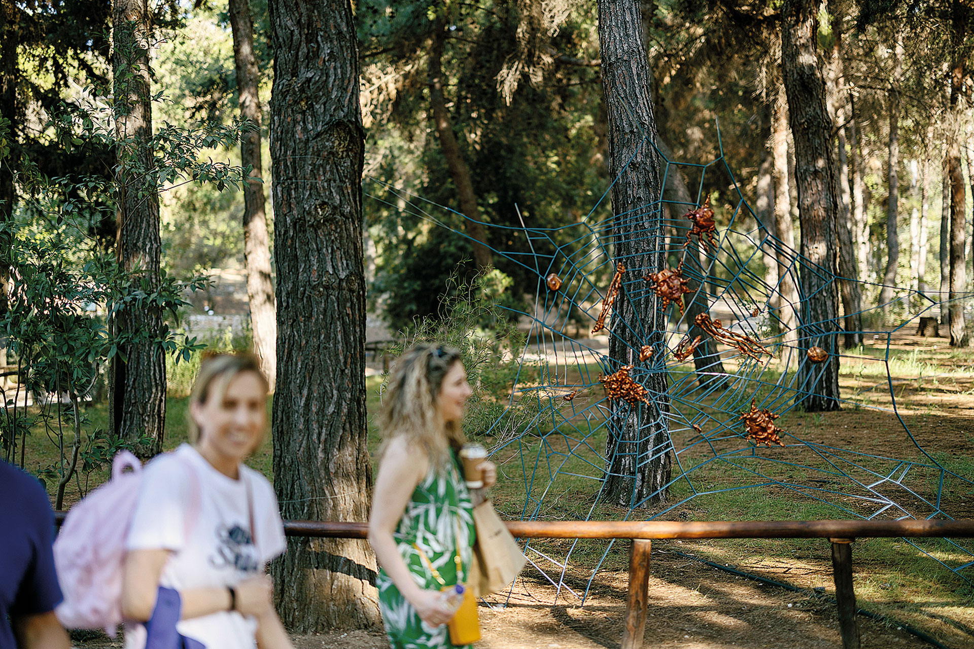 Μία βόλτα στον Κήπο Διομήδους, το μεγαλύτερο βοτανικό πάρκο της Ανατολικής Μεσογείου-8