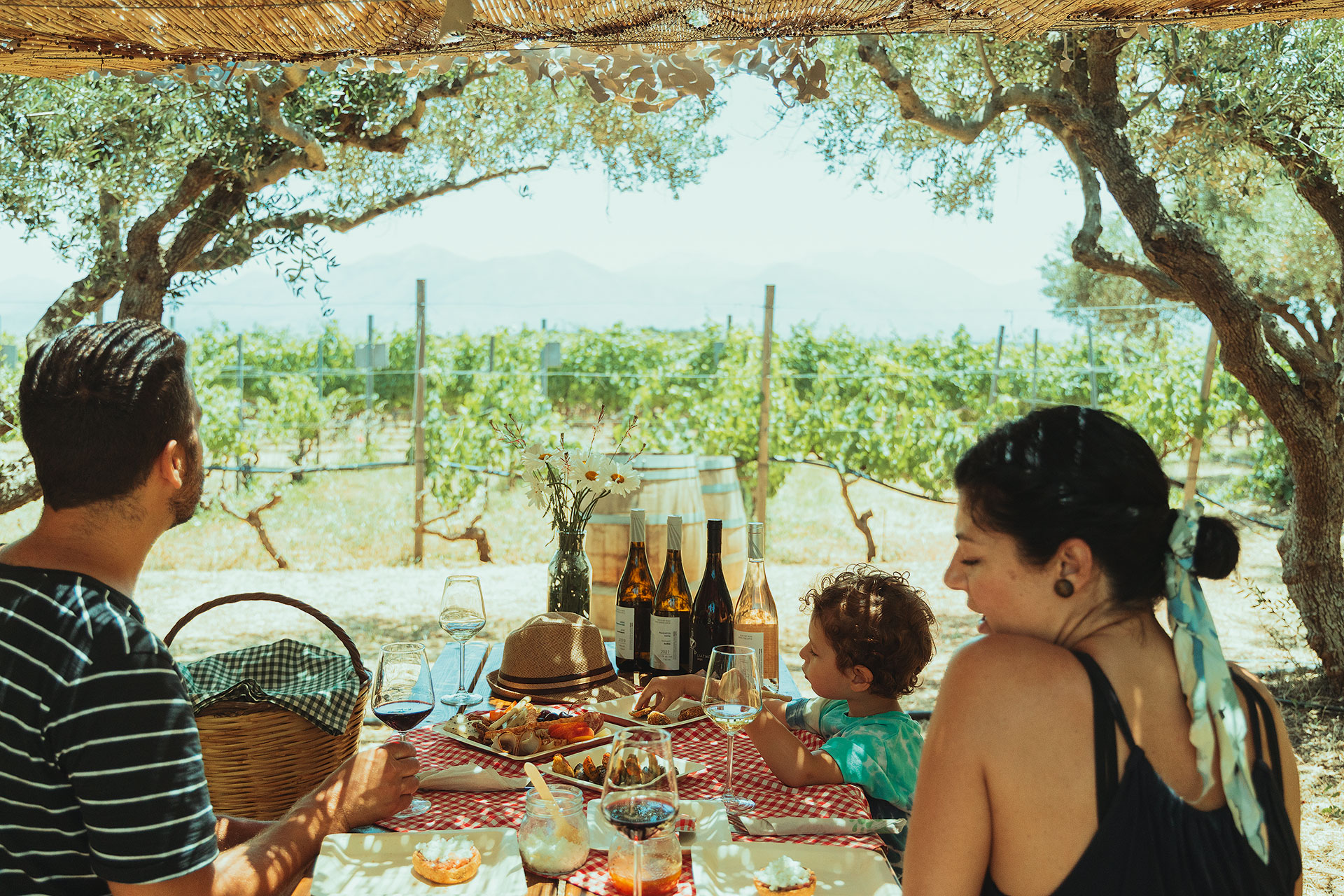 Κρητικός αμπελώνας: 55 αιώνες σε 9 λεπτά ανάγνωσης-7