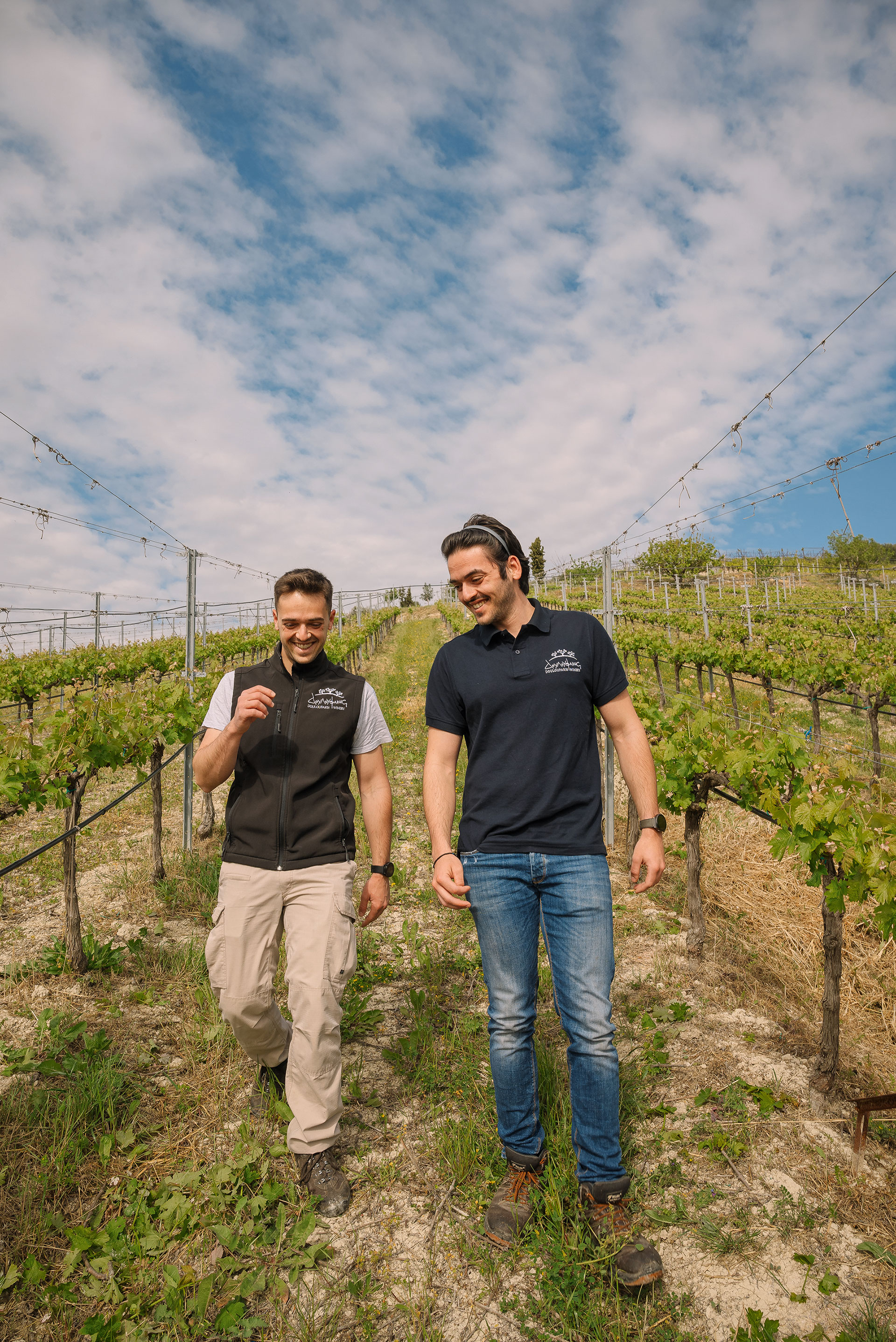 Κρητικός αμπελώνας: 55 αιώνες σε 9 λεπτά ανάγνωσης-9