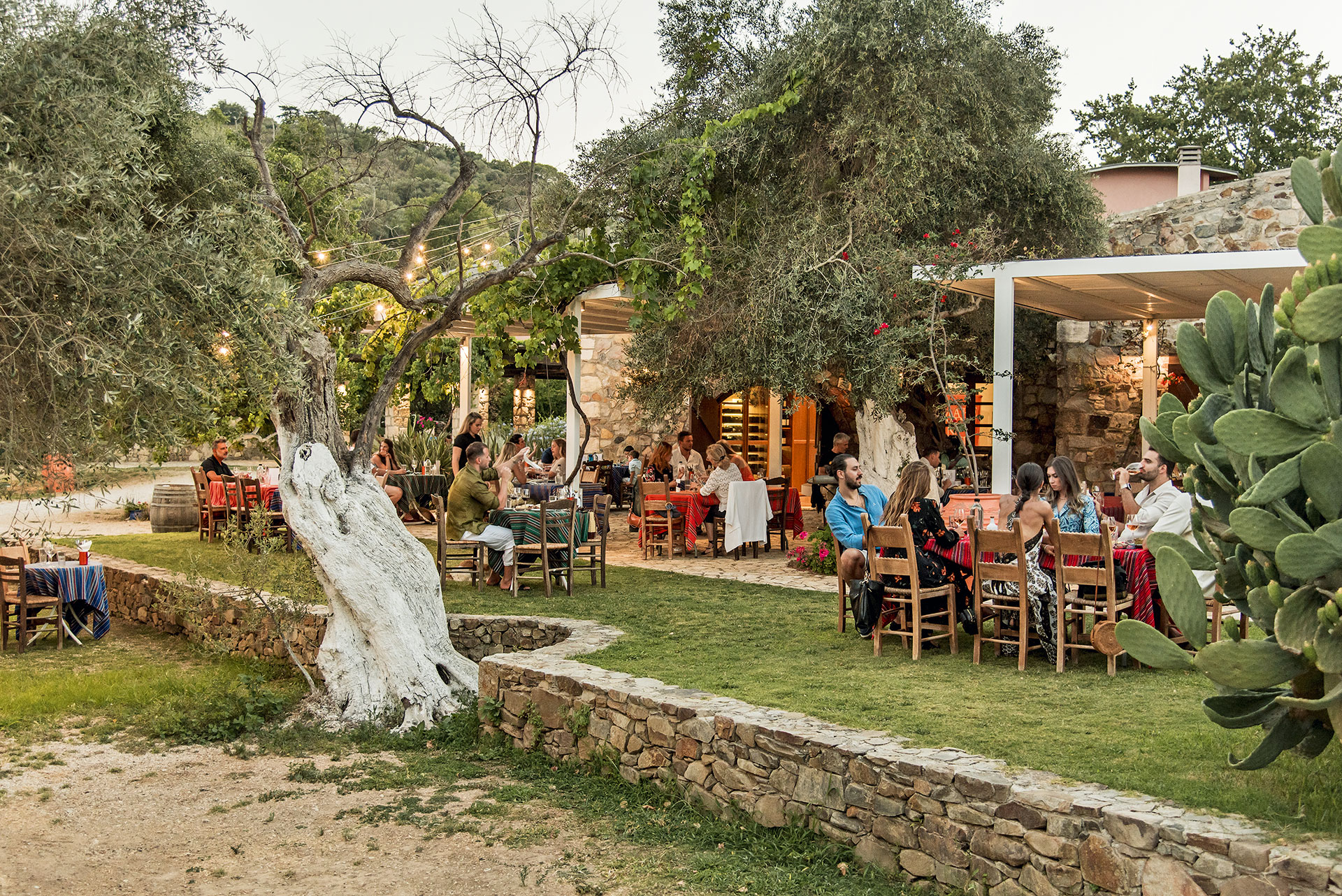 Κρητικός αμπελώνας: 55 αιώνες σε 9 λεπτά ανάγνωσης-10