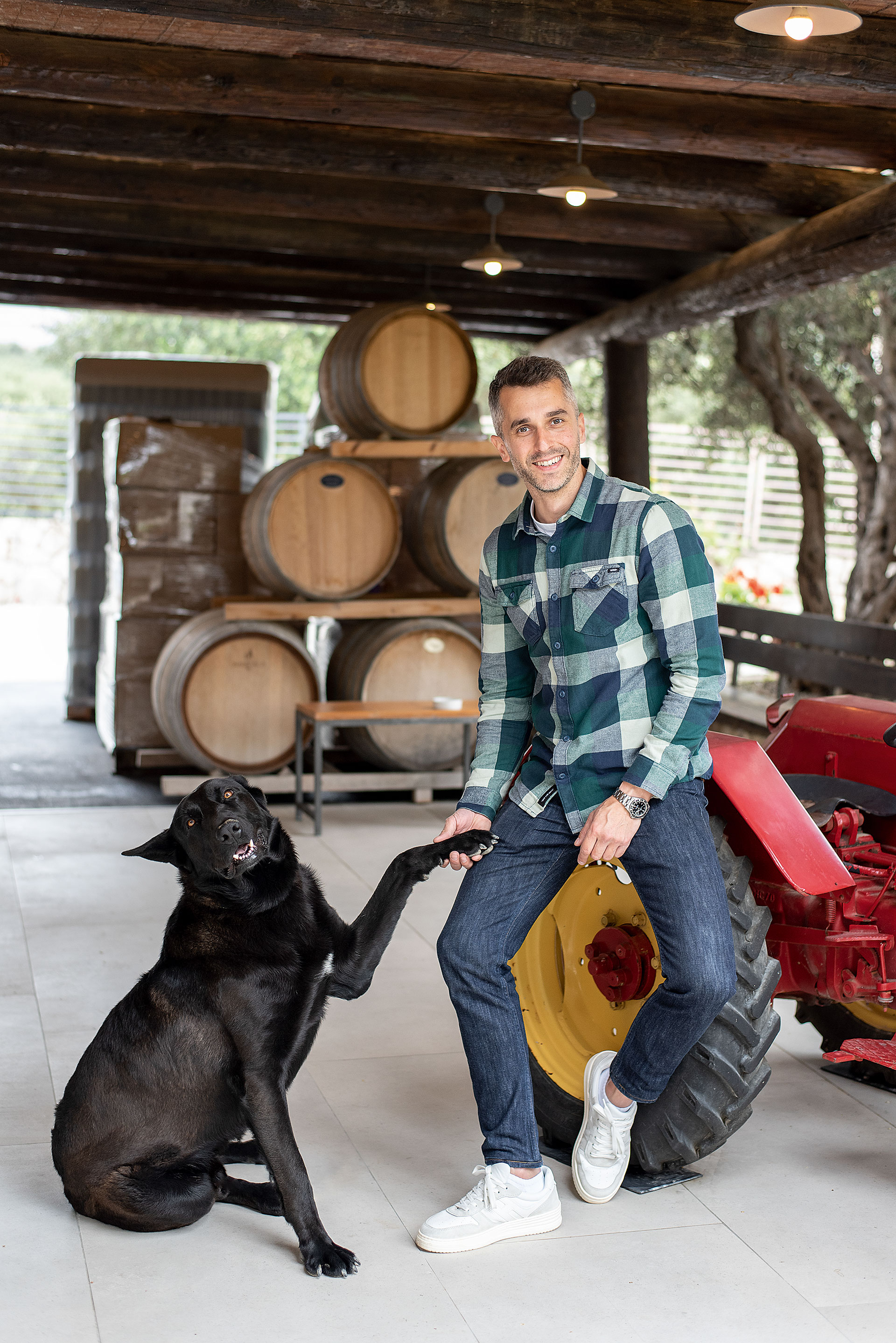 Κρητικός αμπελώνας: 55 αιώνες σε 9 λεπτά ανάγνωσης-14