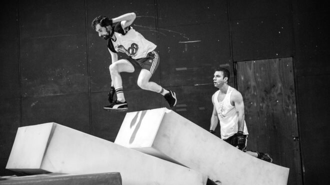 τετράποδοι-ντετέκτιβ-563118496