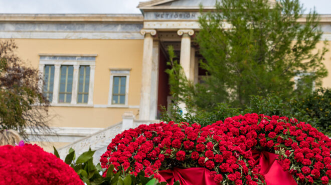 προσδοκίες-και-ματαιώσεις-563136778