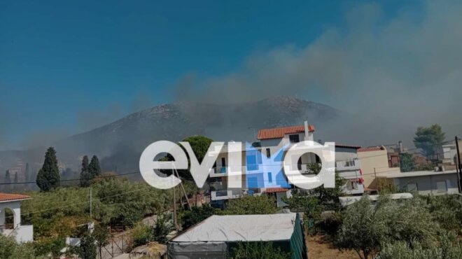 φωτιά-τώρα-εύβοια-πυρκαγιά-κοντά-σε-563136604