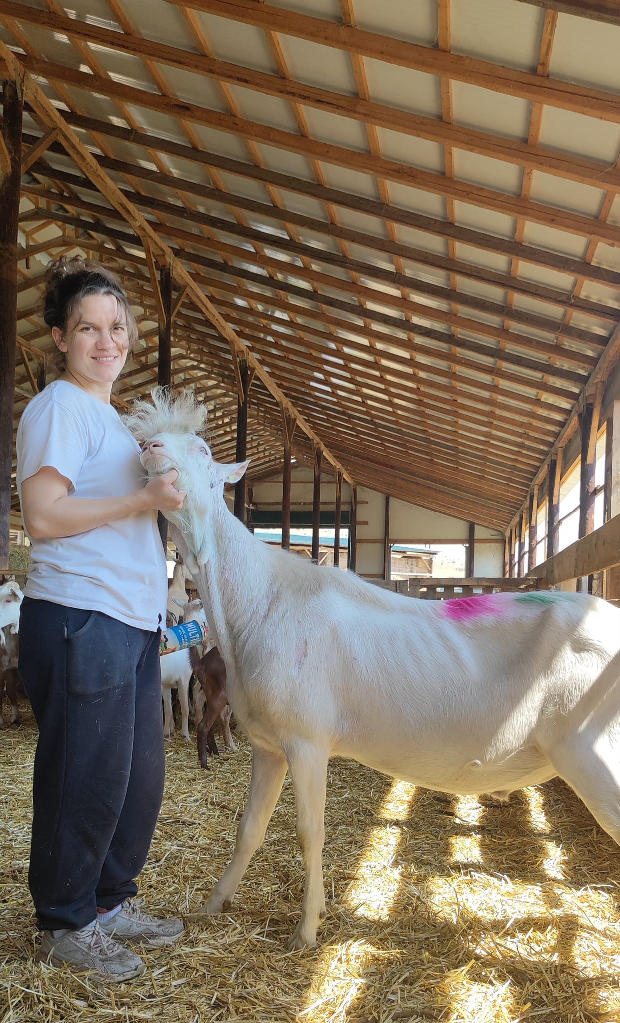 Πανώλη: Τα αναπάντητα ερωτήματα-1