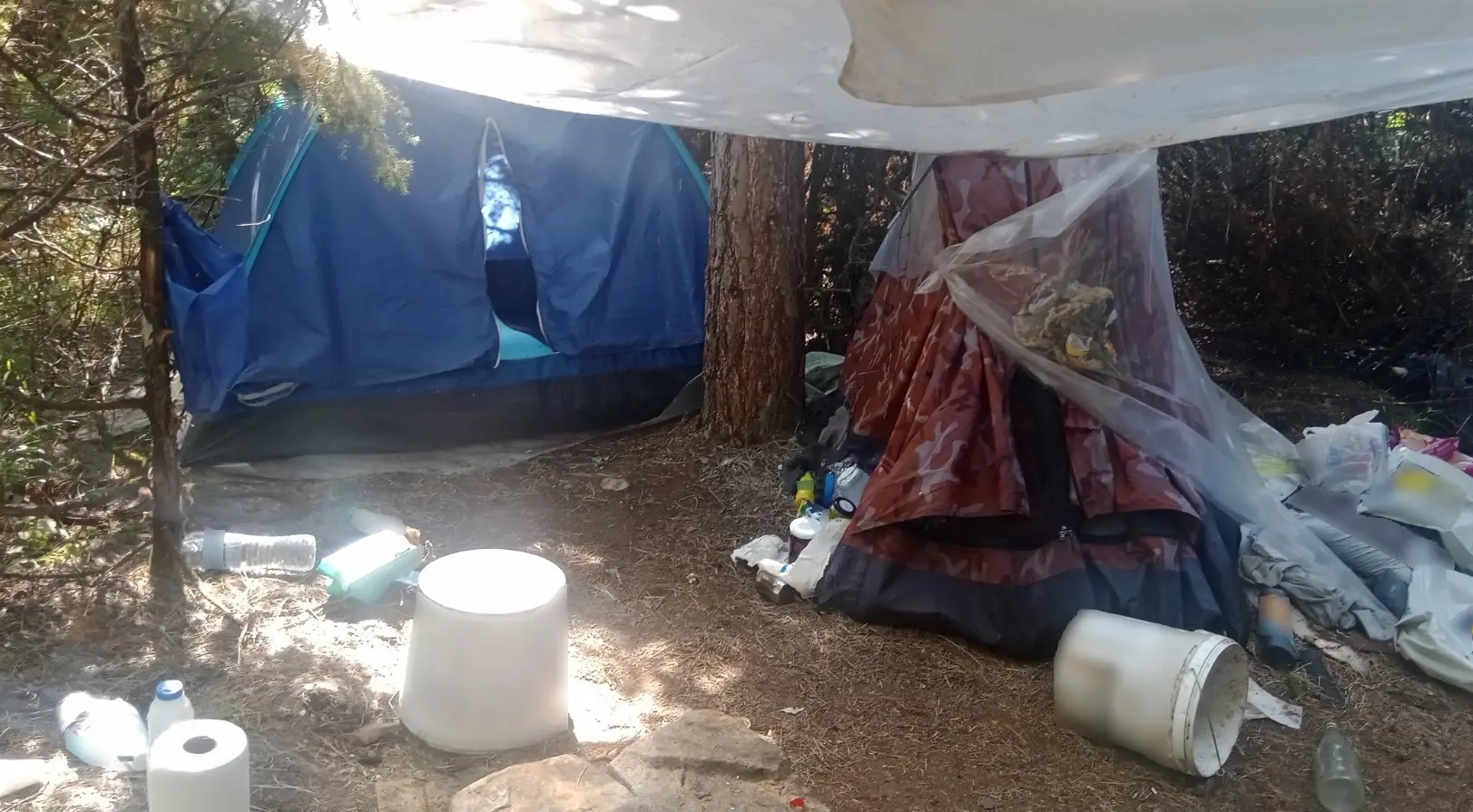 Κοζάνη: Εντοπίστηκε φυτεία κάνναβης με 958 δενδρύλλια – Τρεις συλλήψεις-2